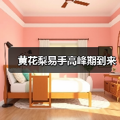 黄花梨易手高峰期到来(图4) 黄花梨易手高峰期到来(图4)