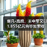 继凡·高后，王中军又以1.855亿元将毕加索收入囊中！