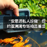“安思远私人珍藏”纽约亚洲周专场拍品首度曝光