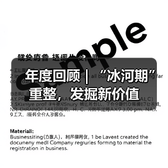 年度回顾 | “冰河期”重整,发掘新价值(图4) 年度回顾 | “冰河期”重整,发掘新价值(图4)