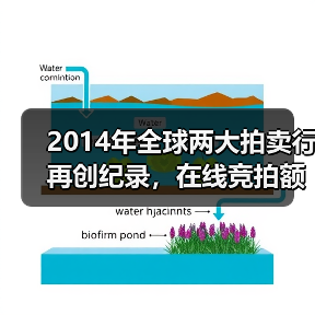 2014年全球两大拍卖行再创纪录，在线竞拍额增长势头强劲