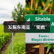 发掘东南亚 “宝藏”(图4) 发掘东南亚 “宝藏”(图4)