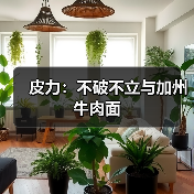 皮力：不破不立与加州牛肉面