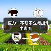 皮力:不破不立与加州牛肉面(图3) 皮力:不破不立与加州牛肉面(图3)