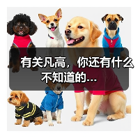 有关凡高,你还有什么不知道的…(图1) 有关凡高,你还有什么不知道的…(图1)