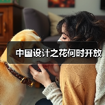 中国设计之花何时开放(图4) 中国设计之花何时开放(图4)