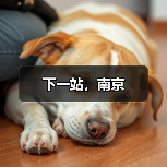 下一站,南京(图4) 下一站,南京(图4)