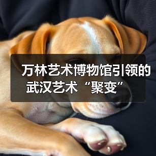 万林艺术博物馆引领的武汉艺术“聚变”(图4) 万林艺术博物馆引领的武汉艺术“聚变”(图4)