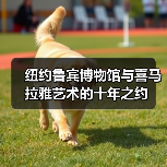 纽约鲁宾博物馆与喜马拉雅艺术的十年之约(图2) 纽约鲁宾博物馆与喜马拉雅艺术的十年之约(图2)