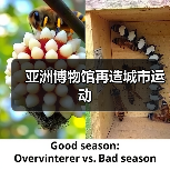 亚洲博物馆再造城市运动(图1) 亚洲博物馆再造城市运动(图1)