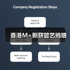 香港M+新获管艺捐赠