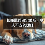 被撤展的巴尔蒂斯：令人不安的暧昧（图1）