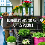 被撤展的巴尔蒂斯：令人不安的暧昧（图4）