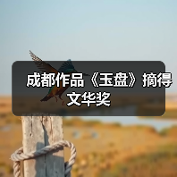 成都作品《玉盘》摘得文华奖（图3）