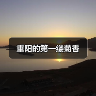 重阳的第一缕菊香(图2) 重阳的第一缕菊香(图2)