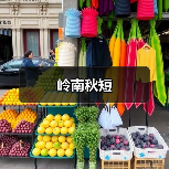 岭南秋短（图4）