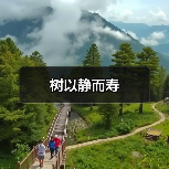 树以静而寿（图3）