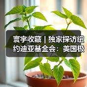 寰宇收藏 | 独家探访纽约迪亚基金会：美国极简艺术终极目的地