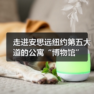 走进安思远纽约第五大道的公寓“博物馆”（图2）
