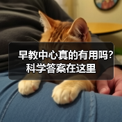 早教中心真的有用吗?科学答案在这里(图3) 早教中心真的有用吗?科学答案在这里(图3)