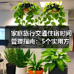 家庭旅行交通住宿时间管理指南:5个实用方法(图2) 家庭旅行交通住宿时间管理指南:5个实用方法(图2)