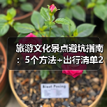 旅游文化景点避坑指南：5个方法+出行清单2026（图1）