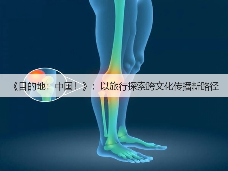 《目的地：中国！》：以旅行探索跨文化传播新路径