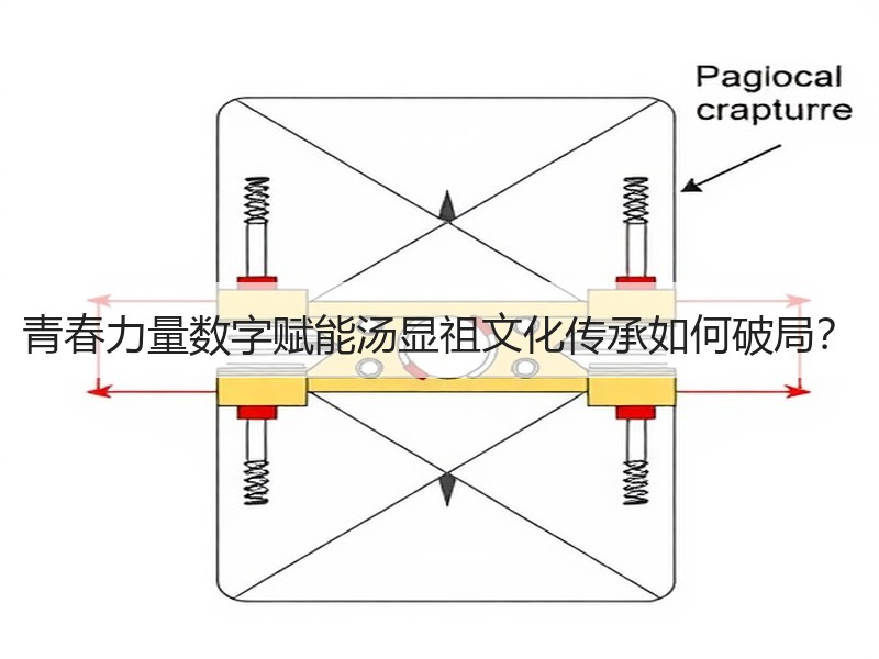 青春力量数字赋能汤显祖文化传承如何破局？