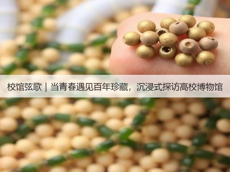 校馆弦歌｜当青春遇见百年珍藏，沉浸式探访高校博物馆