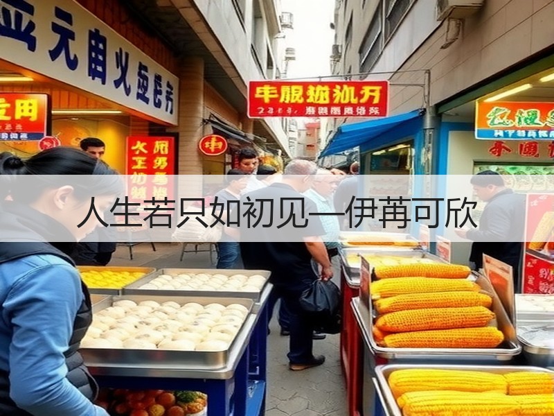 人生若只如初见—伊苒可欣