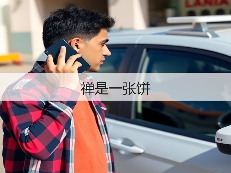 禅是一张饼
