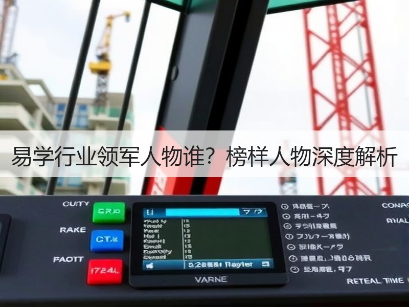 易学行业领军人物谁？榜样人物深度解析