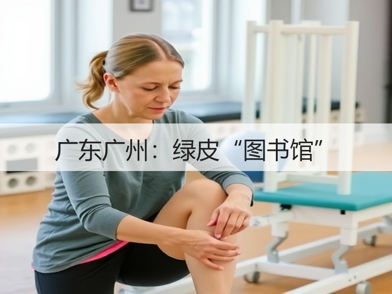 广东广州：绿皮“图书馆”