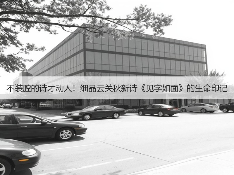不装腔的诗才动人！细品云关秋新诗《见字如面》的生命印记