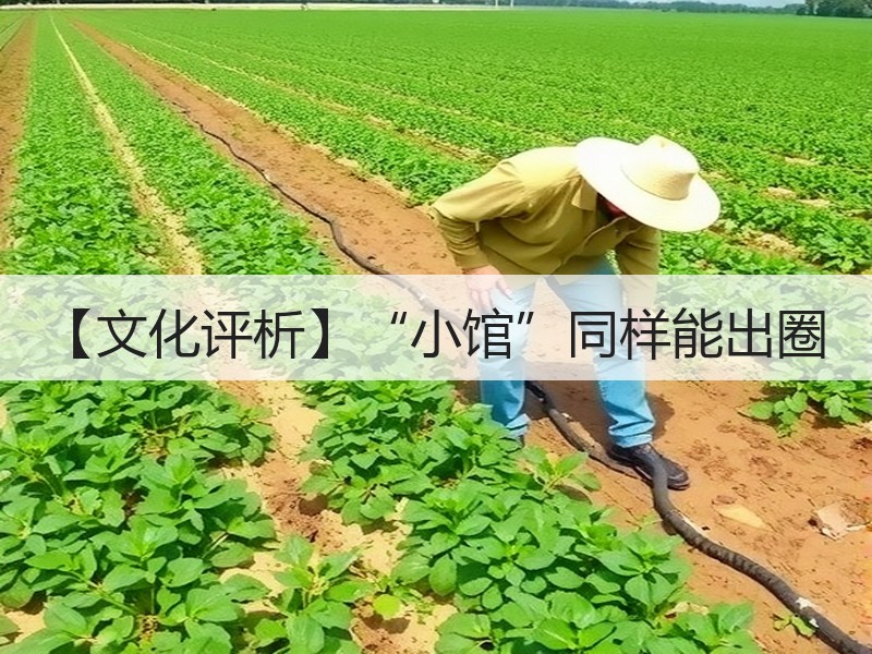 【文化评析】“小馆”同样能出圈
