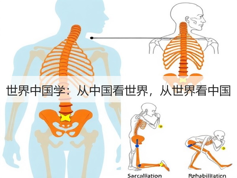 世界中国学：从中国看世界，从世界看中国
