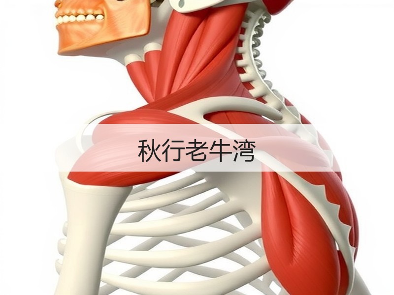 秋行老牛湾