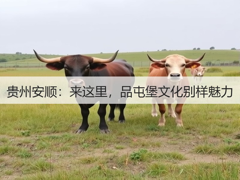 贵州安顺：来这里，品屯堡文化别样魅力