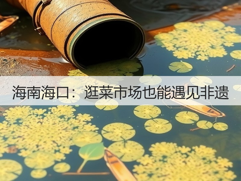 海南海口：逛菜市场也能遇见非遗
