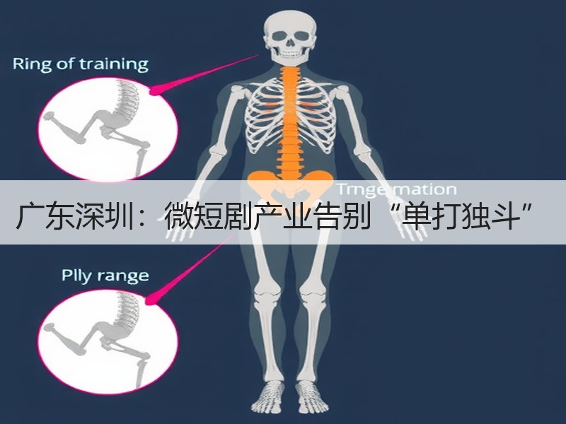 广东深圳：微短剧产业告别“单打独斗”