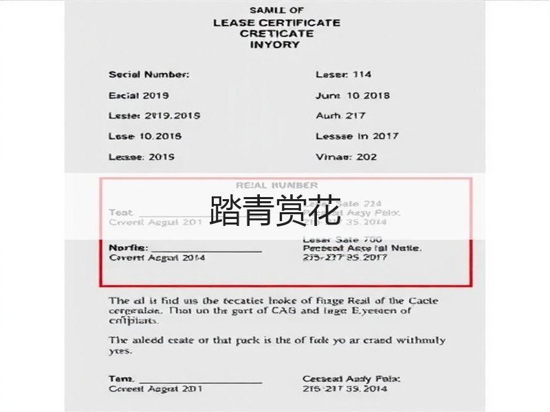 踏青赏花