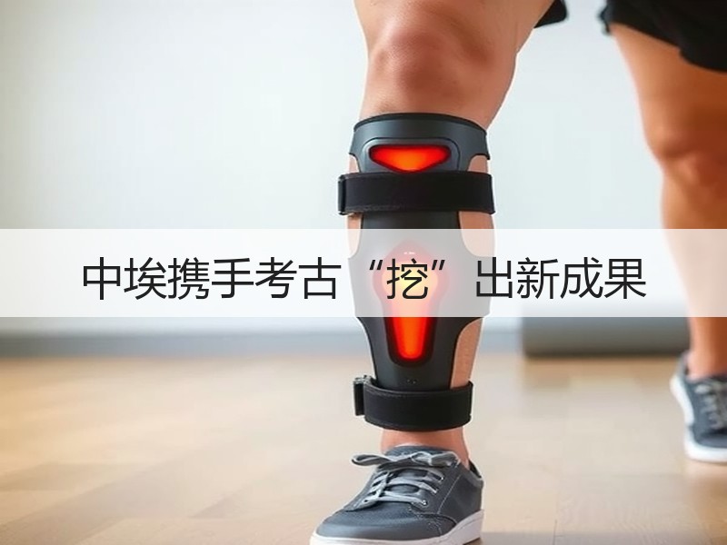 中埃携手考古“挖”出新成果