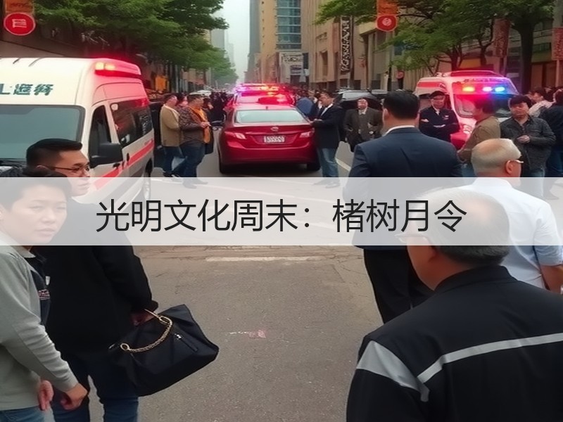 光明文化周末：楮树月令