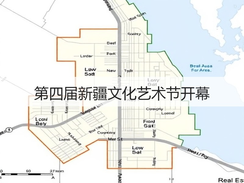 第四届新疆文化艺术节开幕
