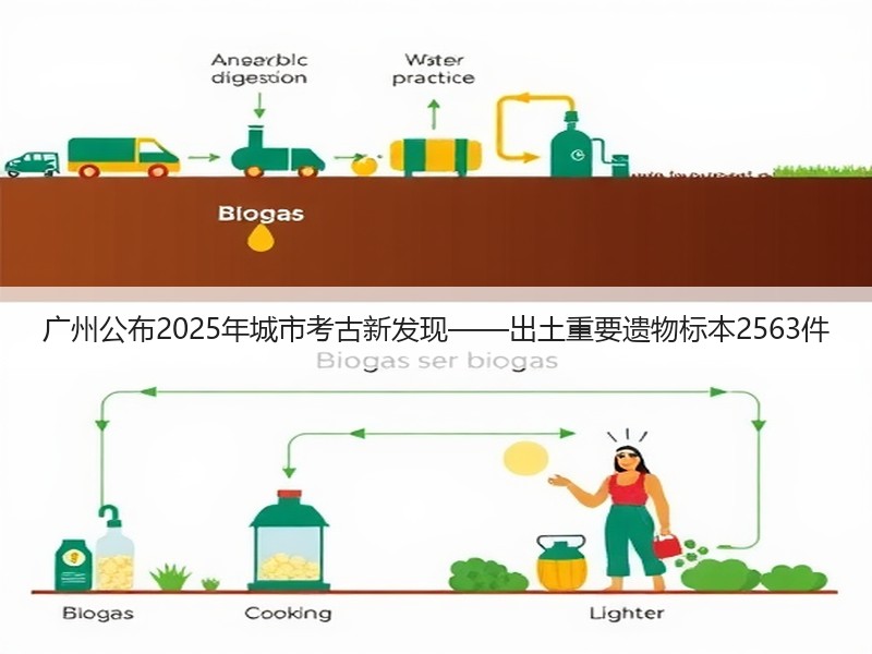 广州公布2025年城市考古新发现——出土重要遗物标本2563件