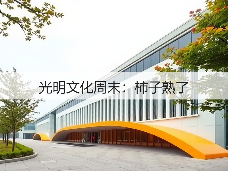 光明文化周末：柿子熟了