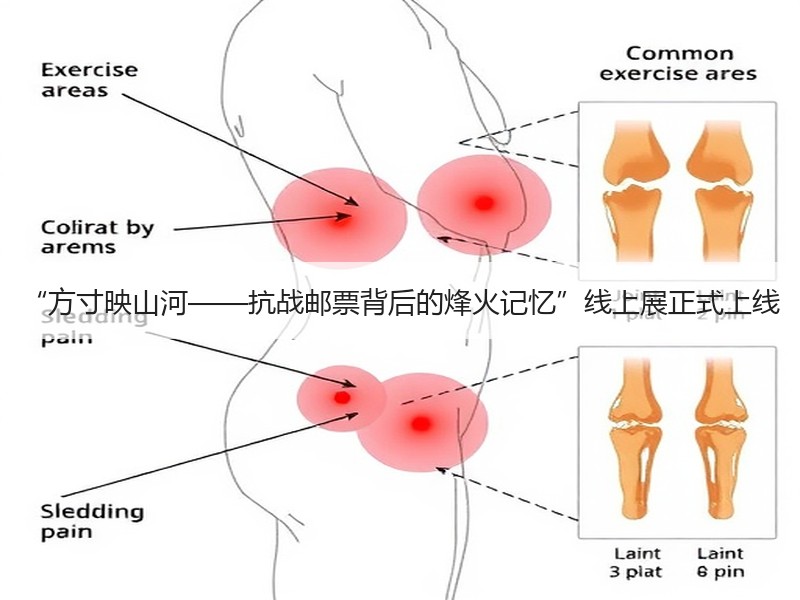 “方寸映山河——抗战邮票背后的烽火记忆”线上展正式上线