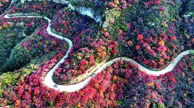 观景赏艺 一路芬芳燕赵间——河北深化文旅改革激发消费潜力 观景赏艺 一路芬芳燕赵间——河北深化文旅改革激发消费潜力