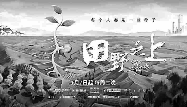 2025年纪录片:在变革中坚守真实底色 2025年纪录片:在变革中坚守真实底色