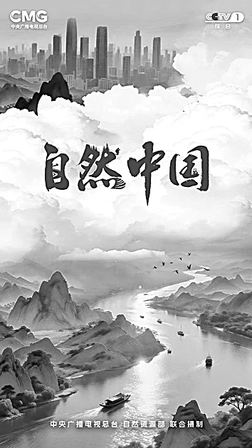 2025年纪录片:在变革中坚守真实底色 2025年纪录片:在变革中坚守真实底色